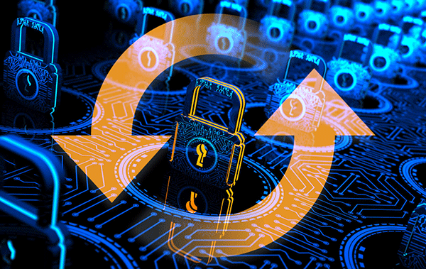 Số lượng tấn công zero-day đã tăng 25% trong năm 2024.