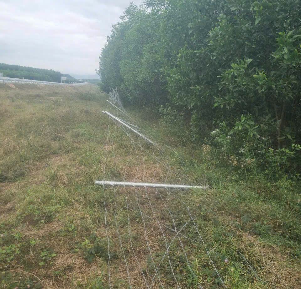 Phát hiện hàng loạt rào bảo vệ đường bộ cao tốc Vân Phong - Nha Trang bị trộm cắp