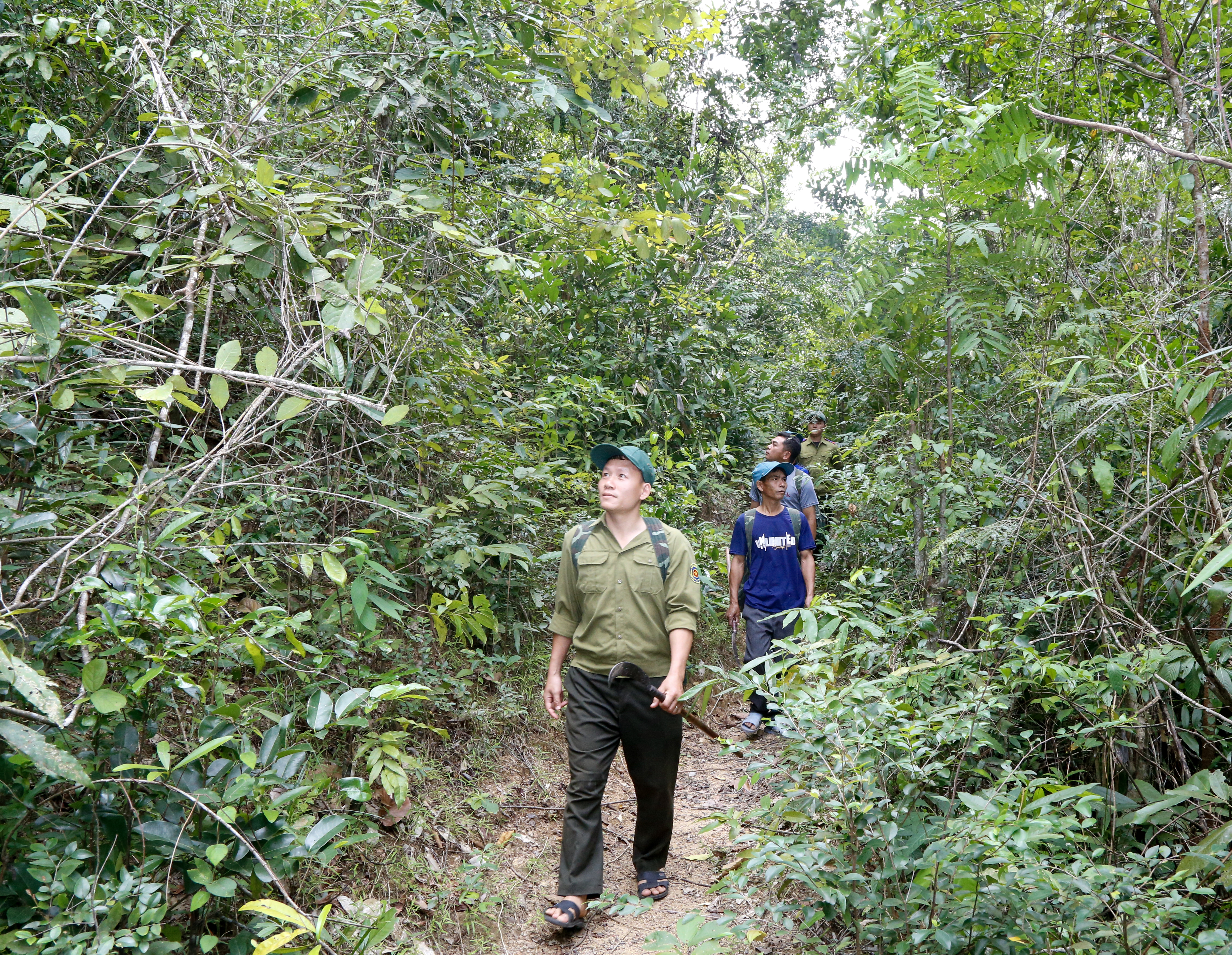 Ban Quản lý rừng phòng hộ Nam Khánh Hòa: Hiệu quả từ giao khoán bảo vệ rừng