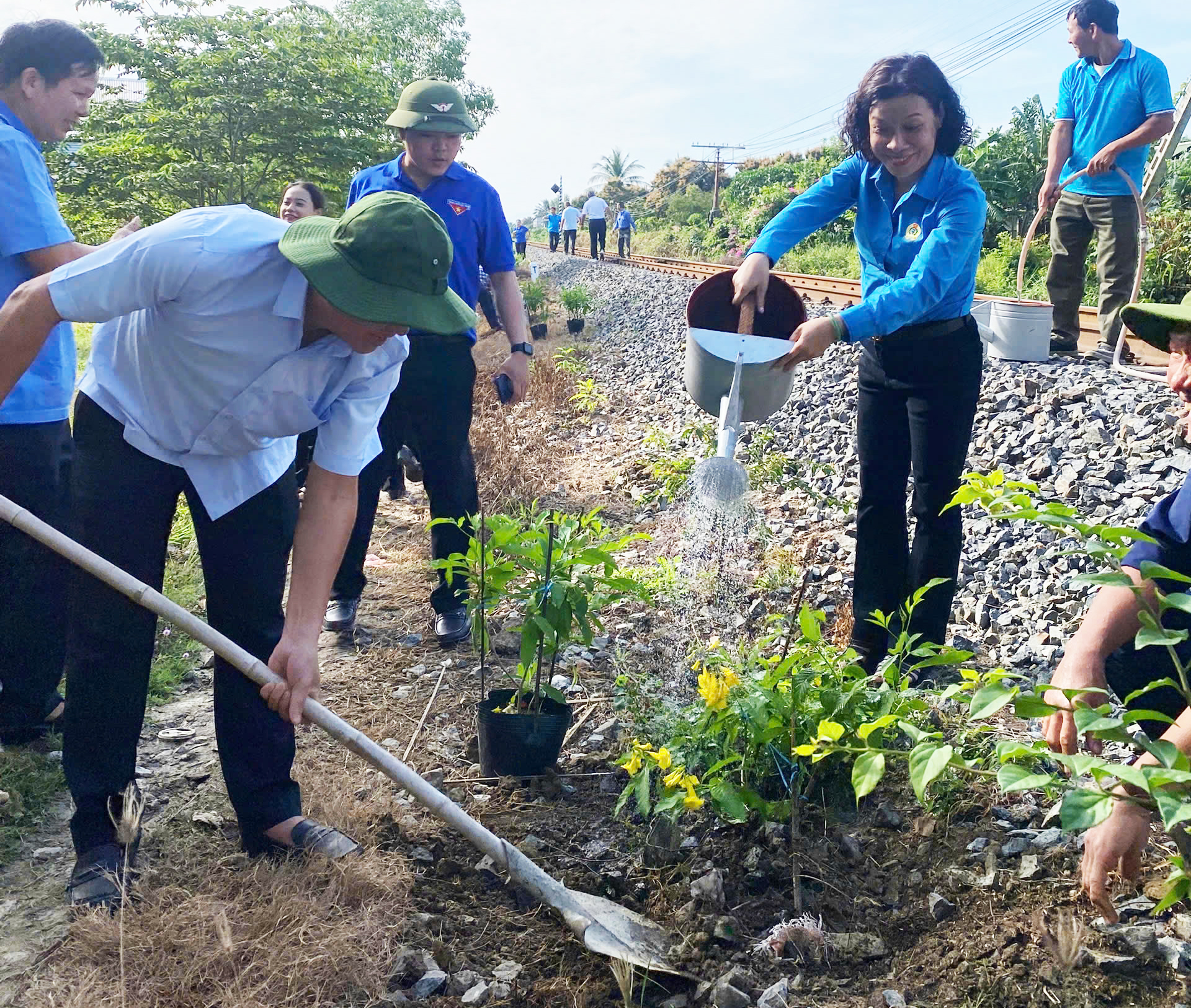 Công ty Cổ phần Đường sắt Phú Khánh trồng 40 cây hoàng yến dọc đường sắt