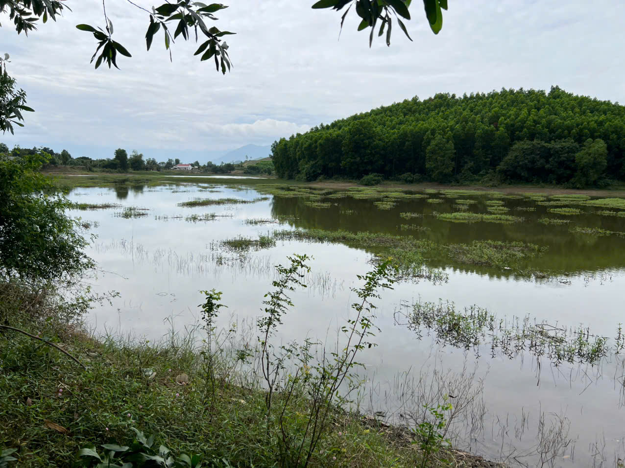 Đi bắt ốc, một phụ nữ tử vong do đuối nước