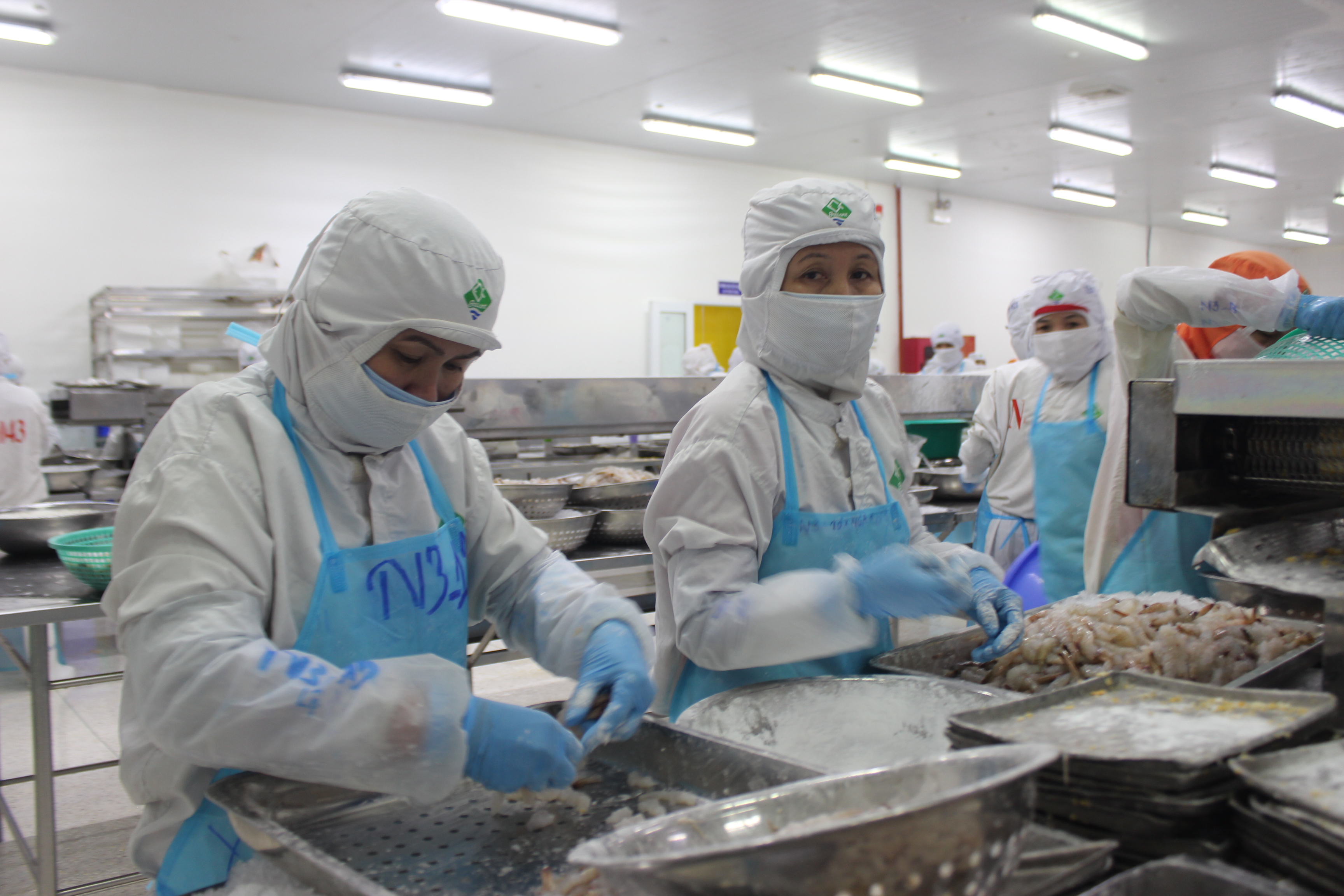 Tổ chức các hoạt động Tháng hành động về An toàn vệ sinh lao động phải đảm bảo thiết thực, hiệu quả