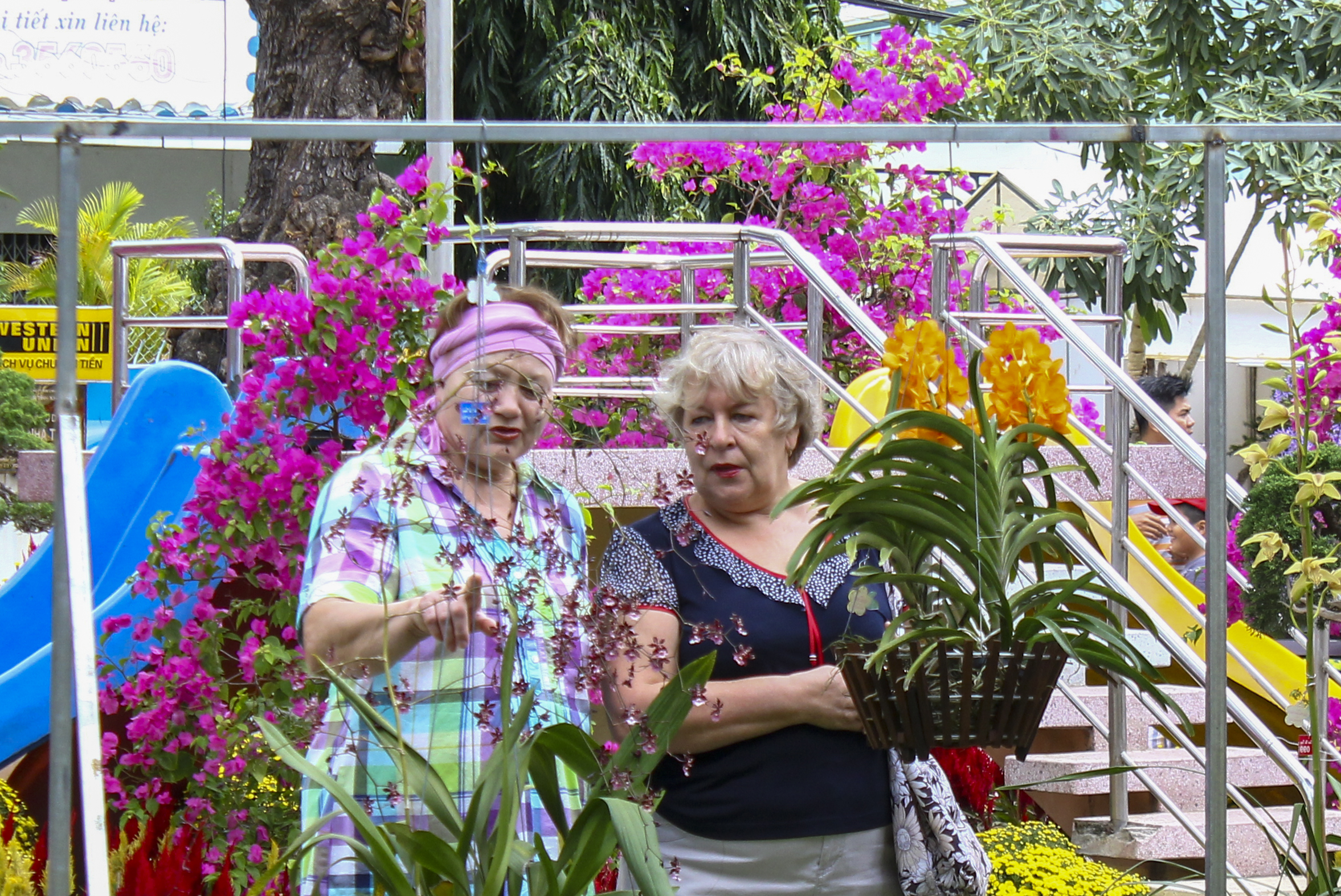 Phiên chợ sinh vật cảnh tỉnh Khánh Hòa lần thứ nhất: Dự kiến diễn ra từ ngày 1 đến 7-4 tại Công viên Yến Phi