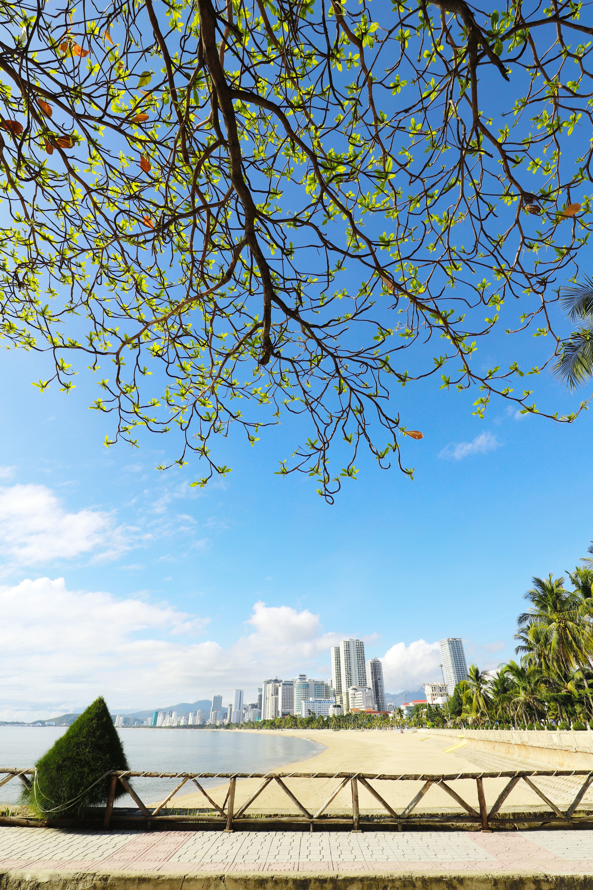 <img alt="" hideclass="" data-cke-saved-src="/file/e7837c02857c8ca30185a8c39b582c03/022025/nha_trang_vao_xuan_-_le_duc_duong_20250213200615.jpg" src="/file/e7837c02857c8ca30185a8c39b582c03/022025/nha_trang_vao_xuan_-_le_duc_duong_20250213200615.jpg">