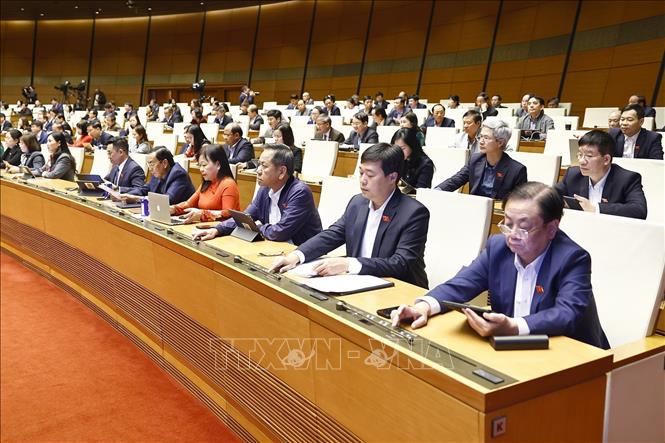 Đại biểu Quốc hội ấn nút biểu quyết thông qua Luật sửa đổi, bổ sung một số điều của Luật Tổ chức Quốc hội. Ảnh: Doãn Tấn/TTXVN