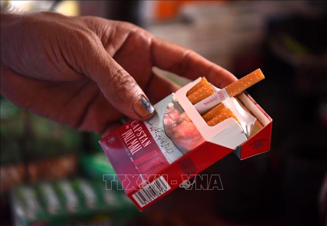 Ảnh minh họa: THX/TTXVN