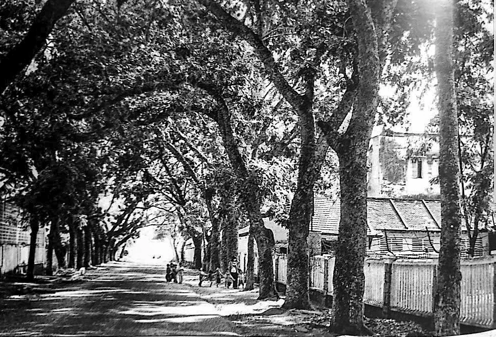 Đường
Lý Tự Trọng
khoảng năm 1983.
Ảnh của cố NSNA Huỳnh Nam