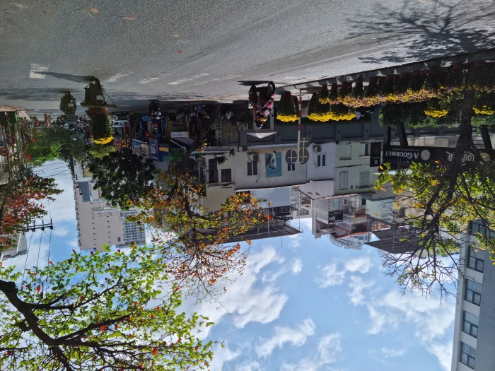 Tết ngày xưa - Tết bây giờ