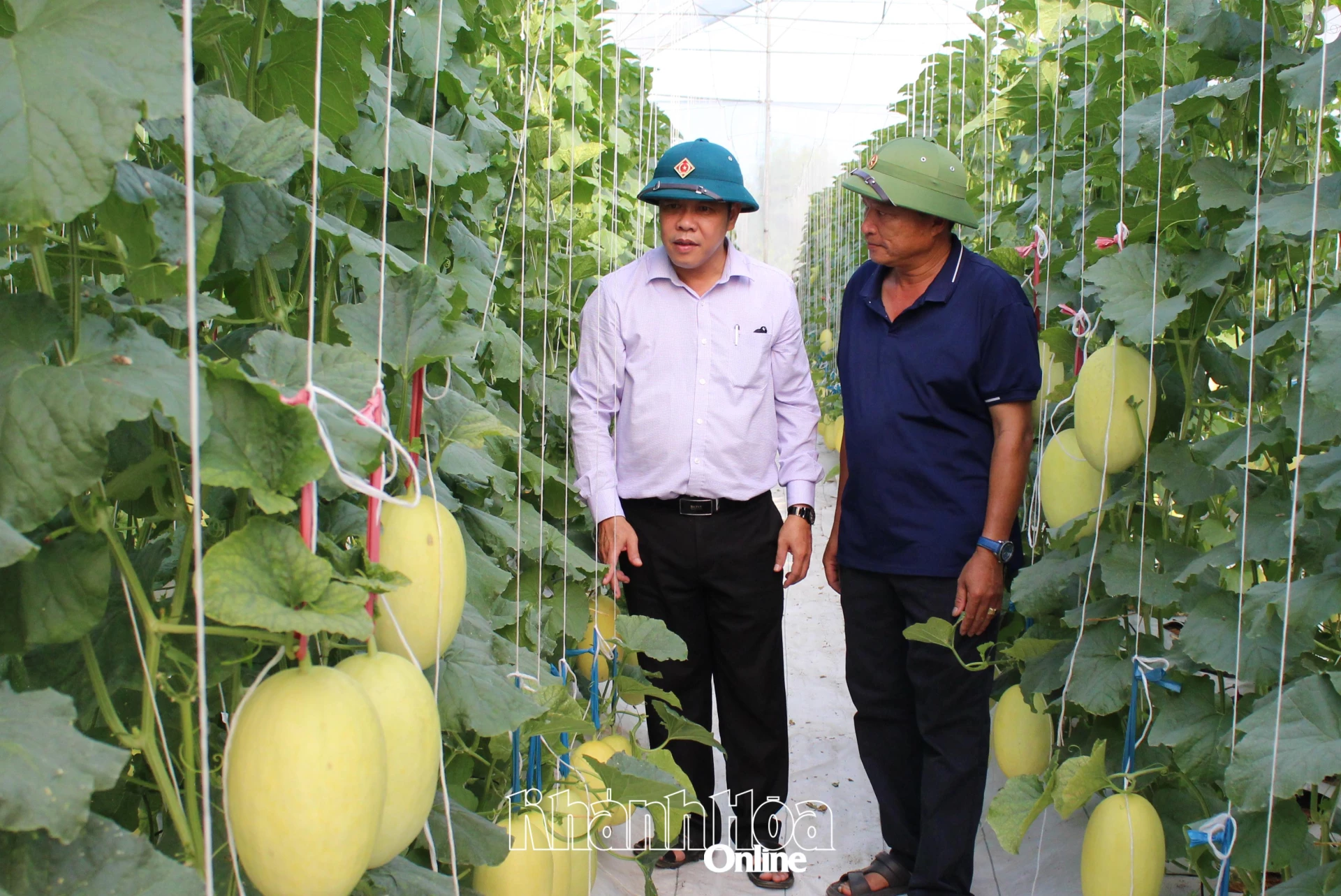 Tiến sĩ Phan Công Kiên (bìa trái) trao đổi về phát triển cây dưa lưới.