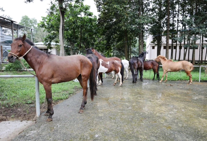 Những “chiến binh