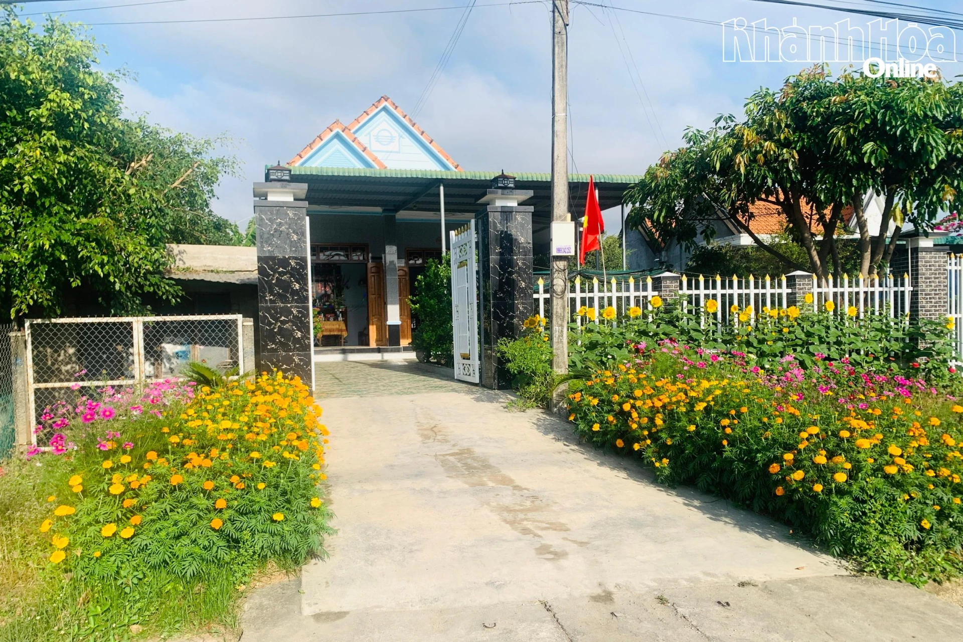 Những luống hoa được trồng trước sân nhà.