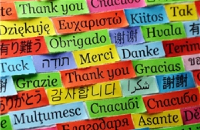 Các ngôn ngữ có nguy cơ biến mất trên thế giới