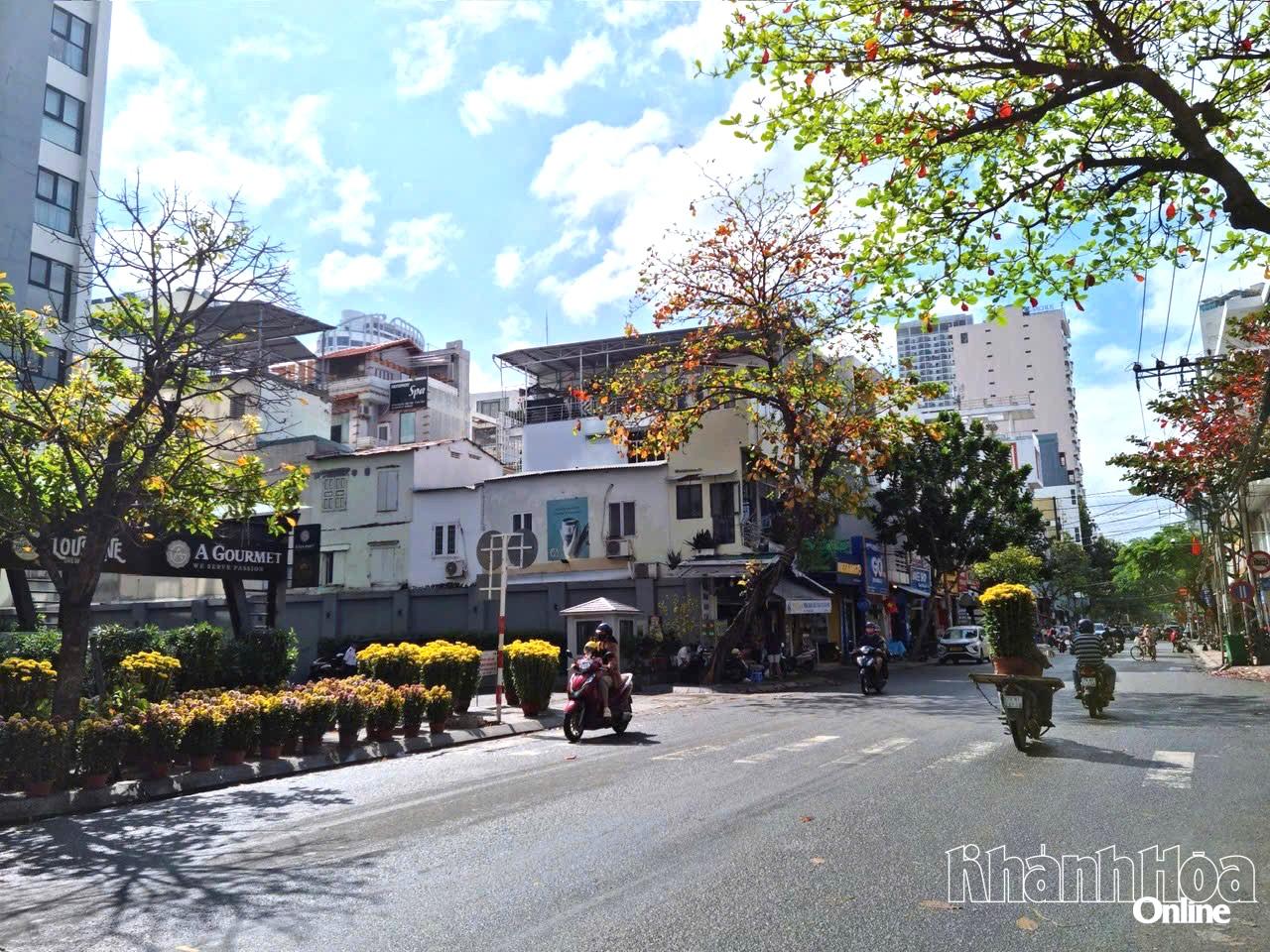 Tết về trên khắp nẻo đường. Ảnh: G.C