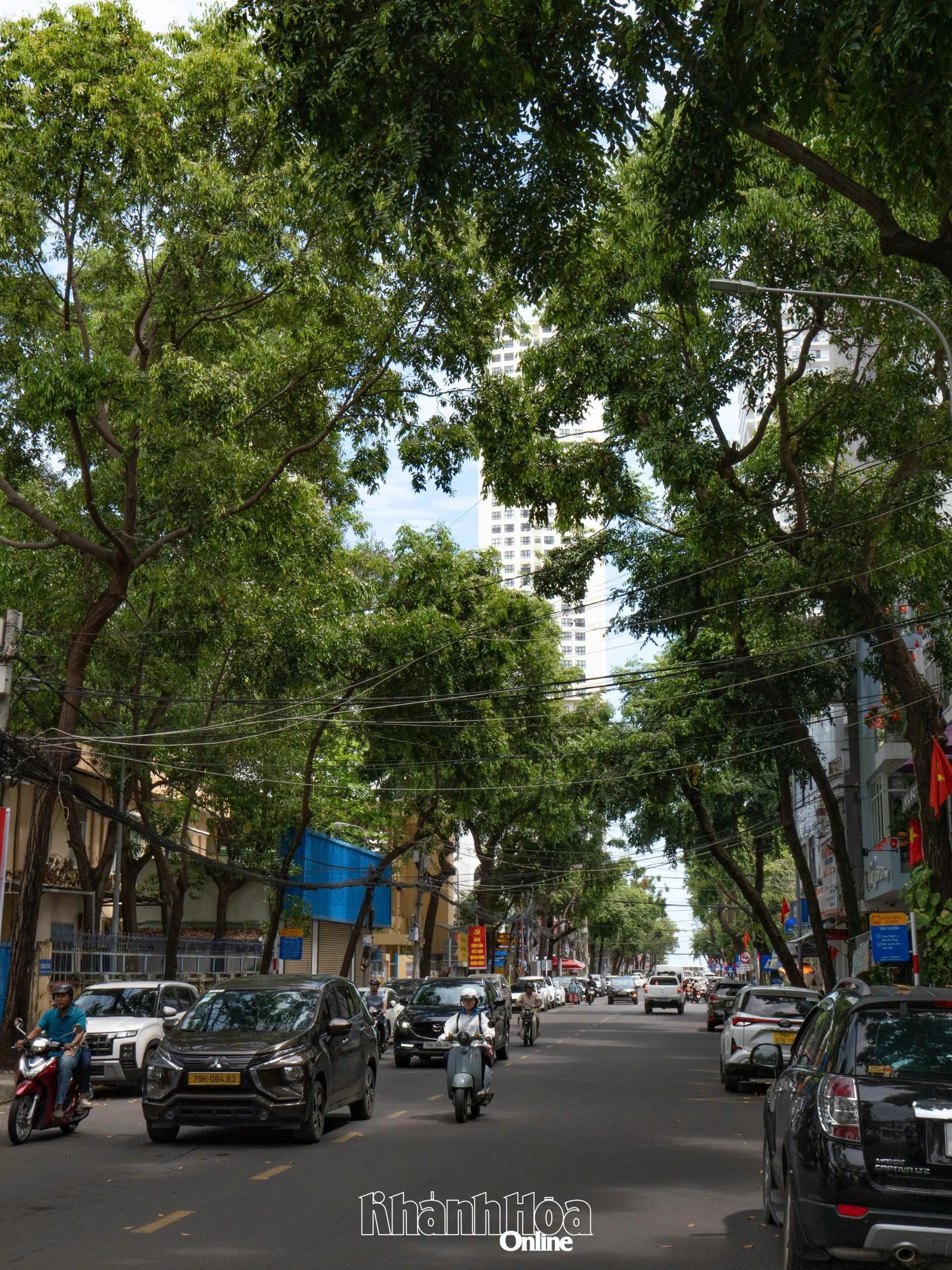 Đường Lý Tự Trọng hôm nay.