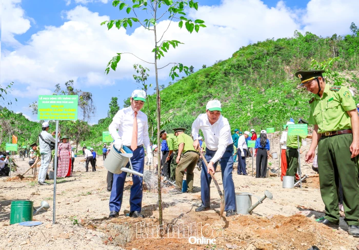Phát động “Tết trồng cây đời đời nhớ ơn Bác Hồ” xuân Bính Ngọ 2026