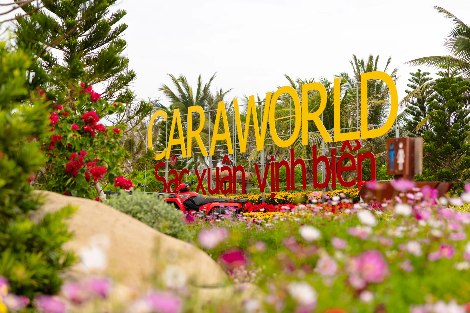 CaraWorld – Sắc xuân vịnh biển rực rỡ giữa không gian biển Bãi Dài những ngày giáp Tết.