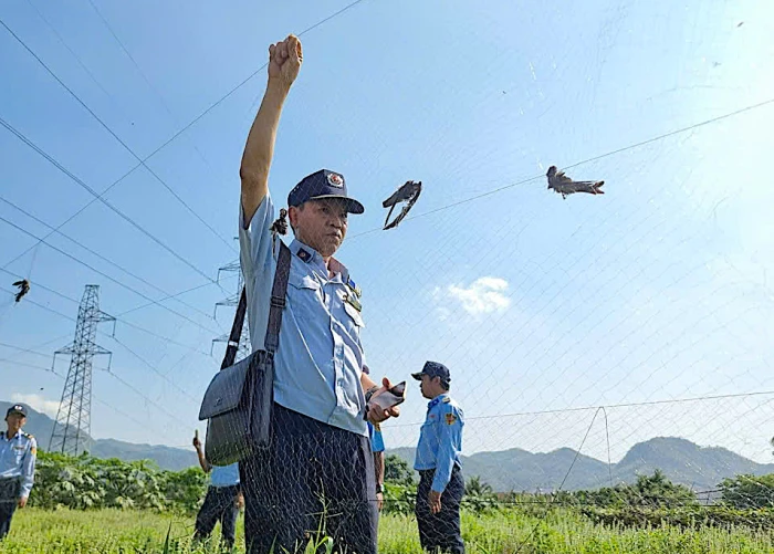 Bí thư chi bộ điển hình trong lao động giỏi, lao động sáng tạo