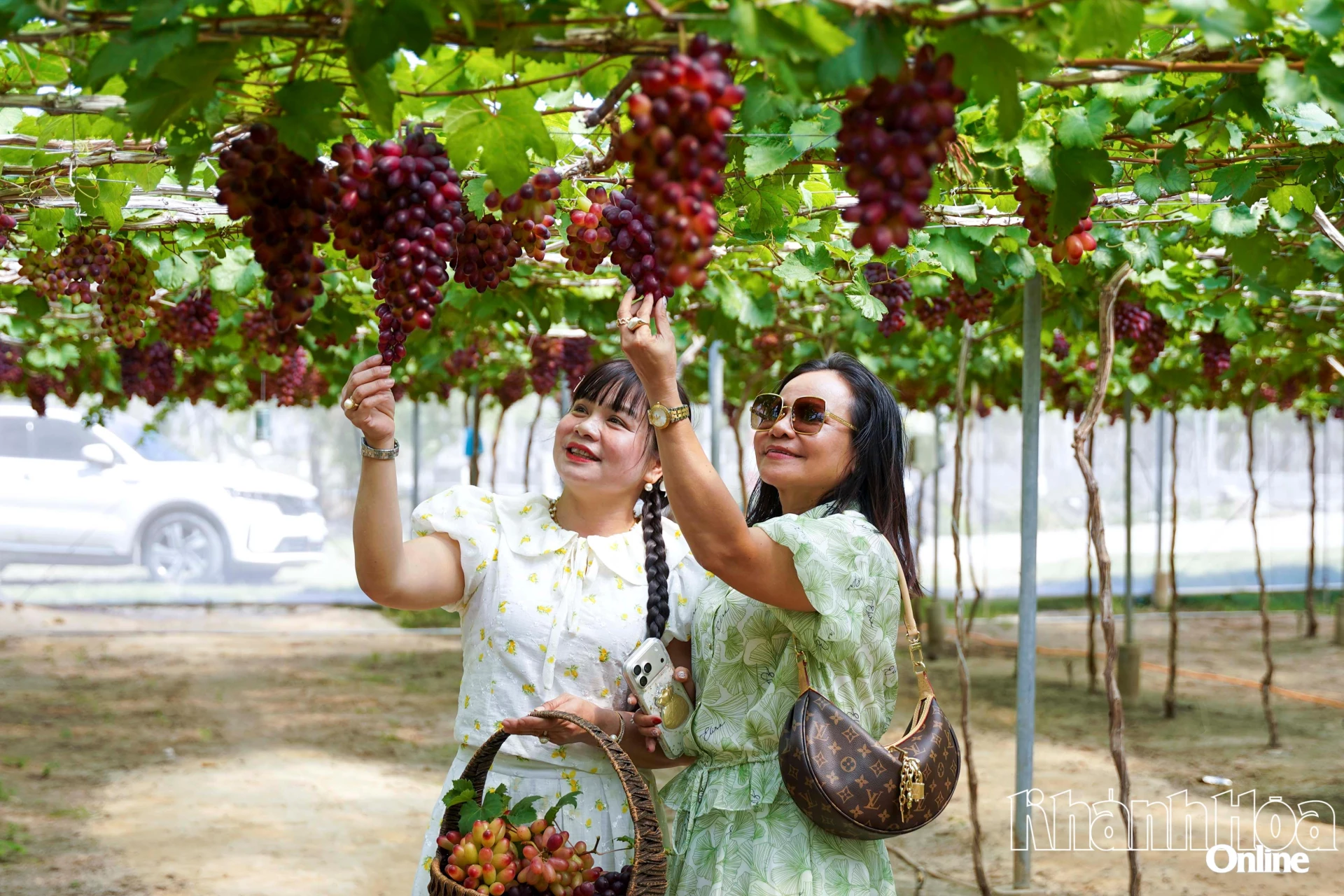 Rời Vĩnh Hy, hành trình tiếp tục đưa du khách đến Hang Rái – nơi những tầng đá cổ xếp chồng kỳ thú, và ghé thăm làng nho Thái An, xã Vĩnh Hải, để cảm nhận nhịp sống chậm rãi, hiền hòa của miền duyên hải.