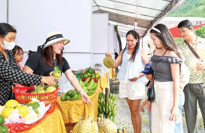 Du xuân qua những miệt vườn