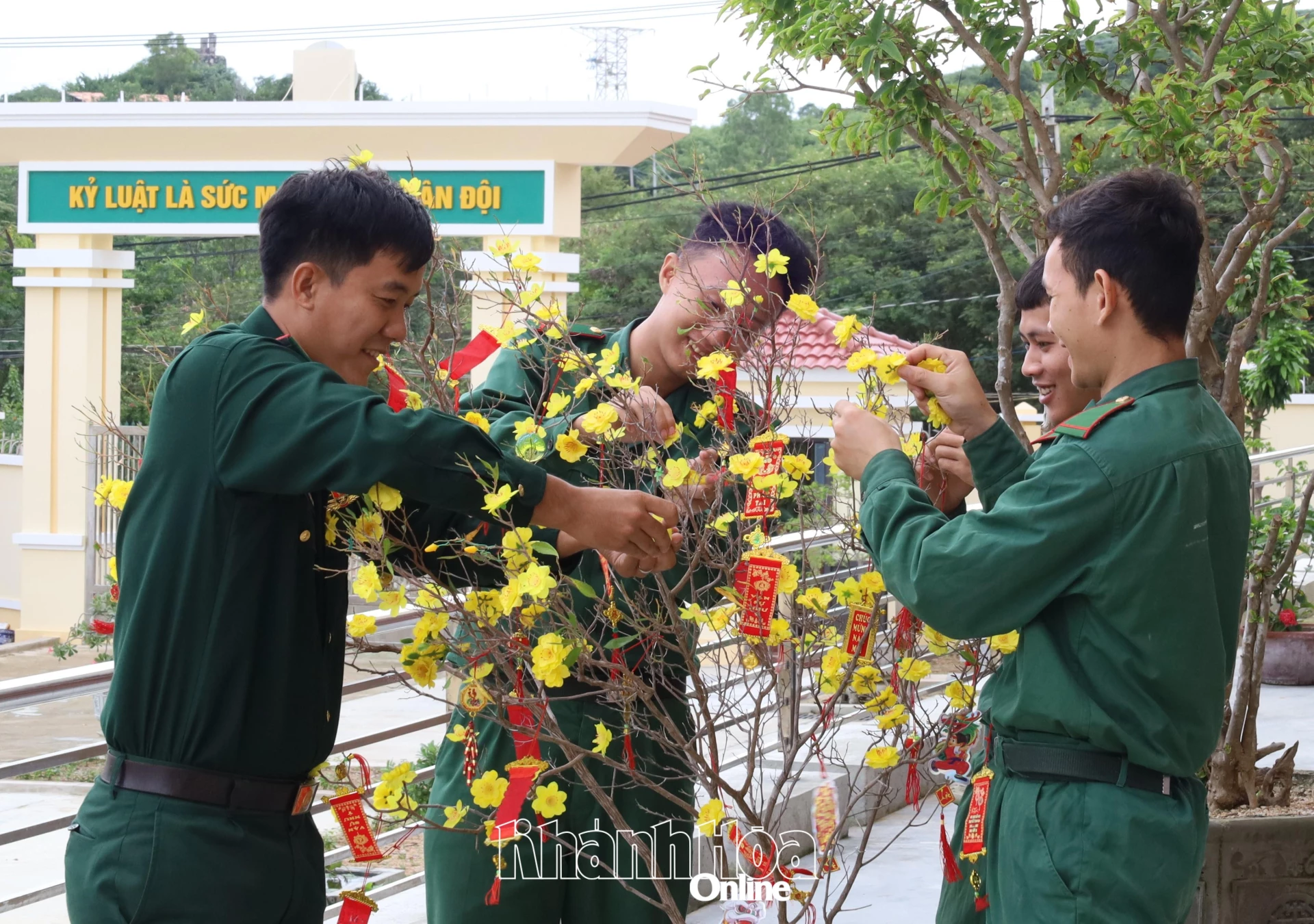 Cán bộ, chiến sĩ chuẩn bị cành mai Tết.