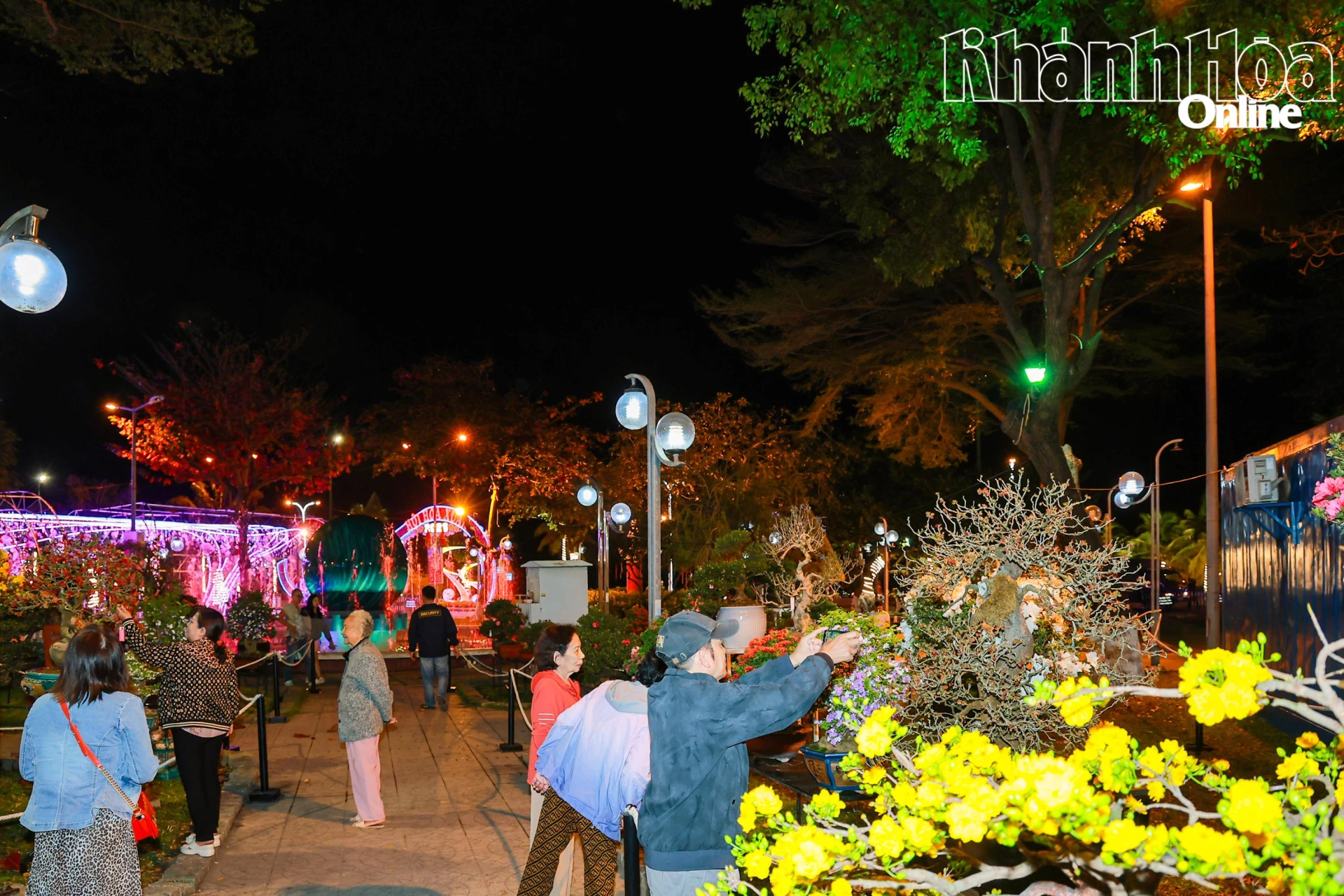 Người dân xem các tác phẩm cây cảnh được trưng bày tại hội hoa xuân.