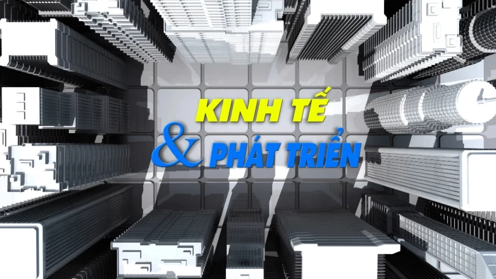 Kinh tế: Sôi động thị trường sản phẩm Tết