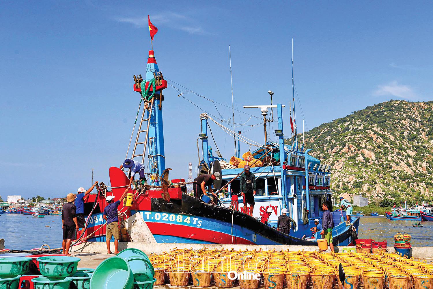 Tàu cập cảng cá
Cà Ná.