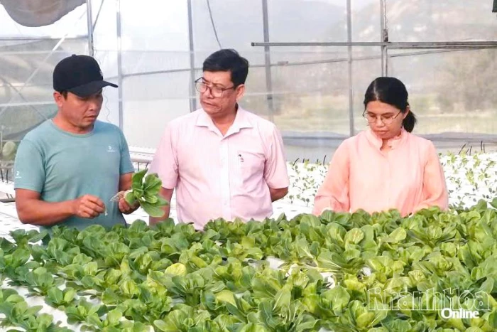 Phòng Giao dịch Ngân hàng Chính sách xã hội Thuận Bắc: Điểm sáng giữ vững chất lượng tín dụng chính sách