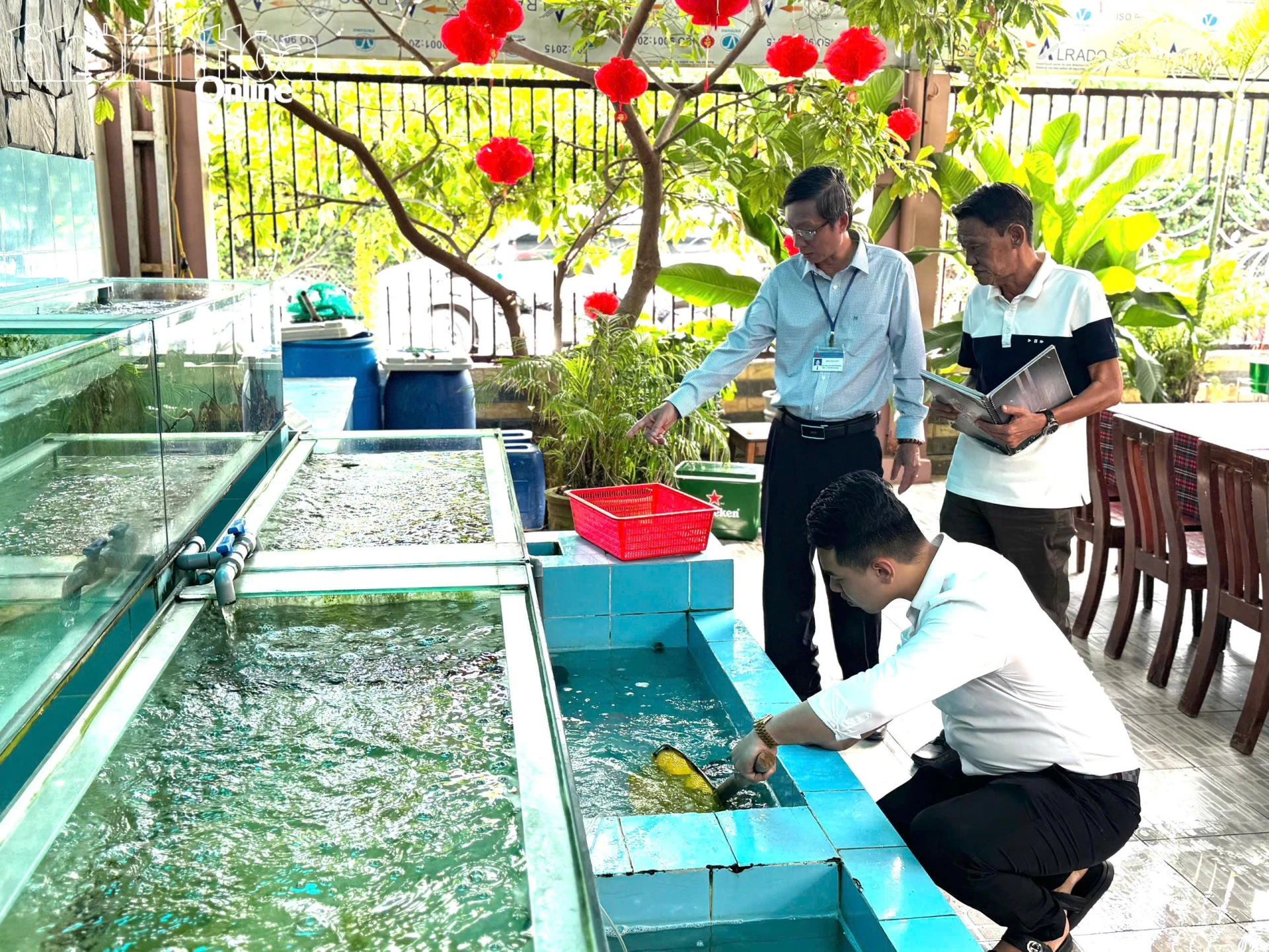 Đoàn kiểm tra nguồn thực phẩm sống tại Nhà hàng Cát Biển (phường Nha Trang).