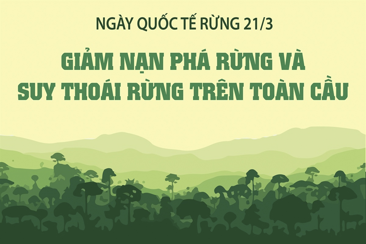 Ngày Quốc tế Rừng 21/3: “Rừng và Đổi mới: Giải pháp mới cho một thế giới tốt đẹp hơn”