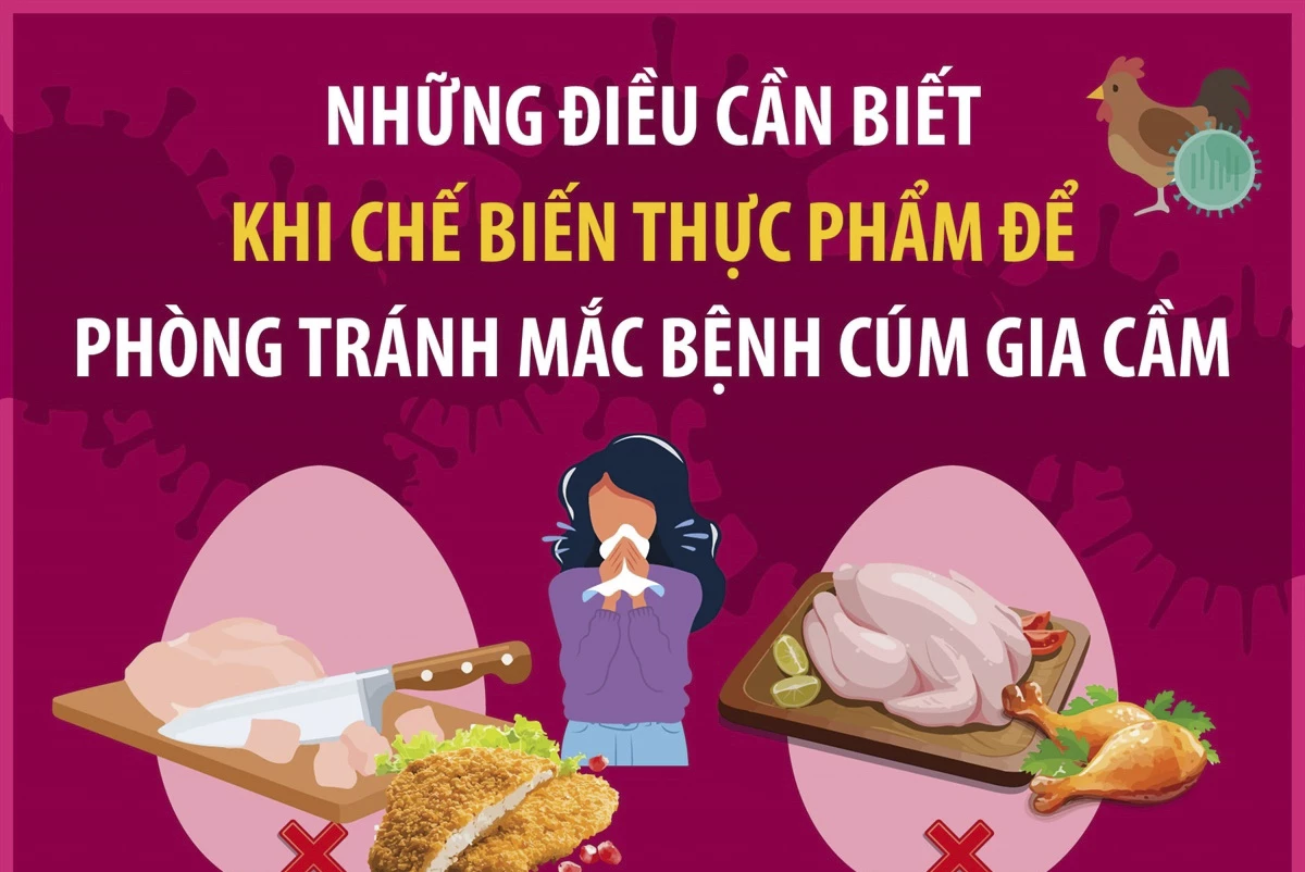 Những điều cần biết khi chế biến thực phẩm để phòng tránh mắc bệnh cúm gia cầm