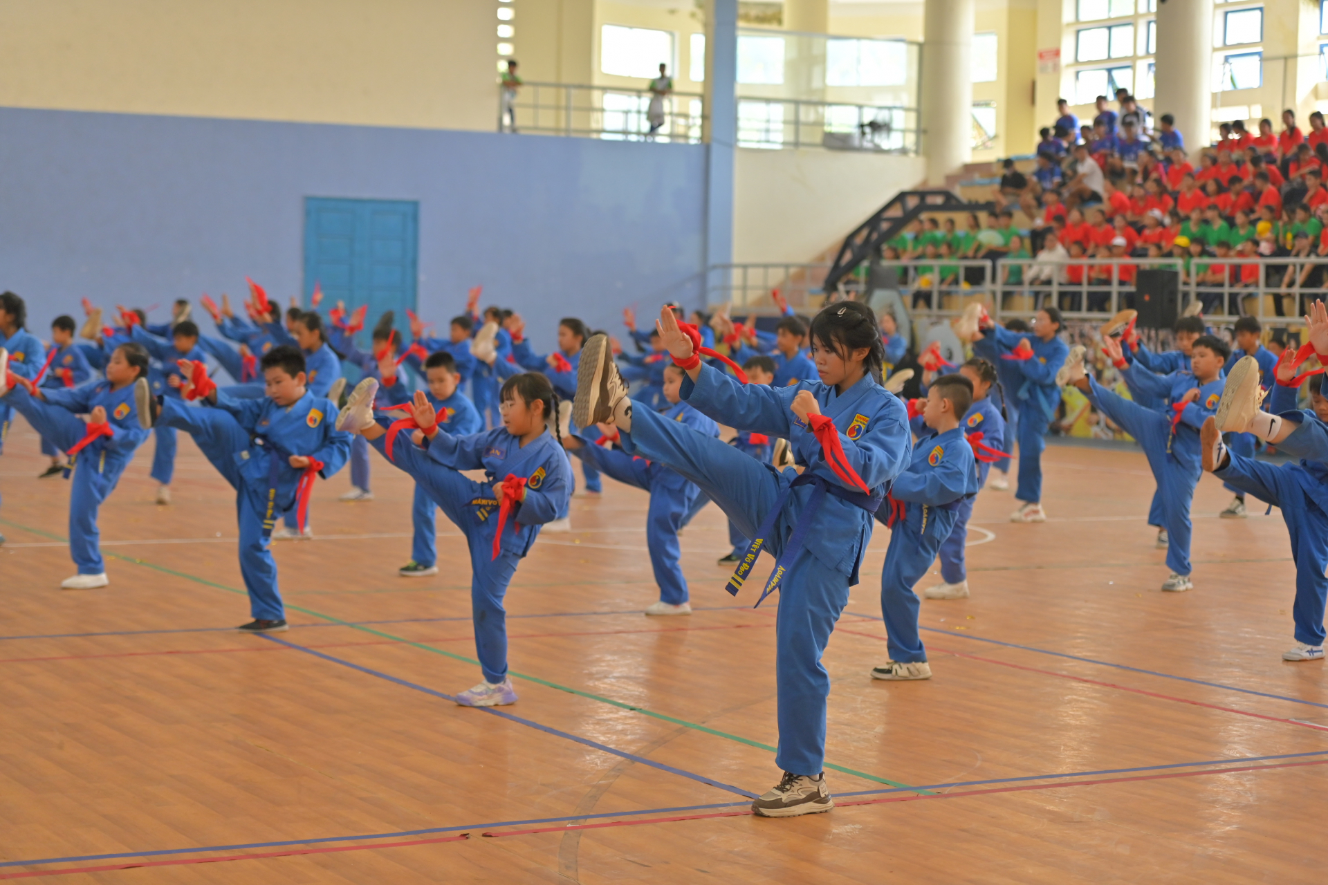 Players performing vovinam

