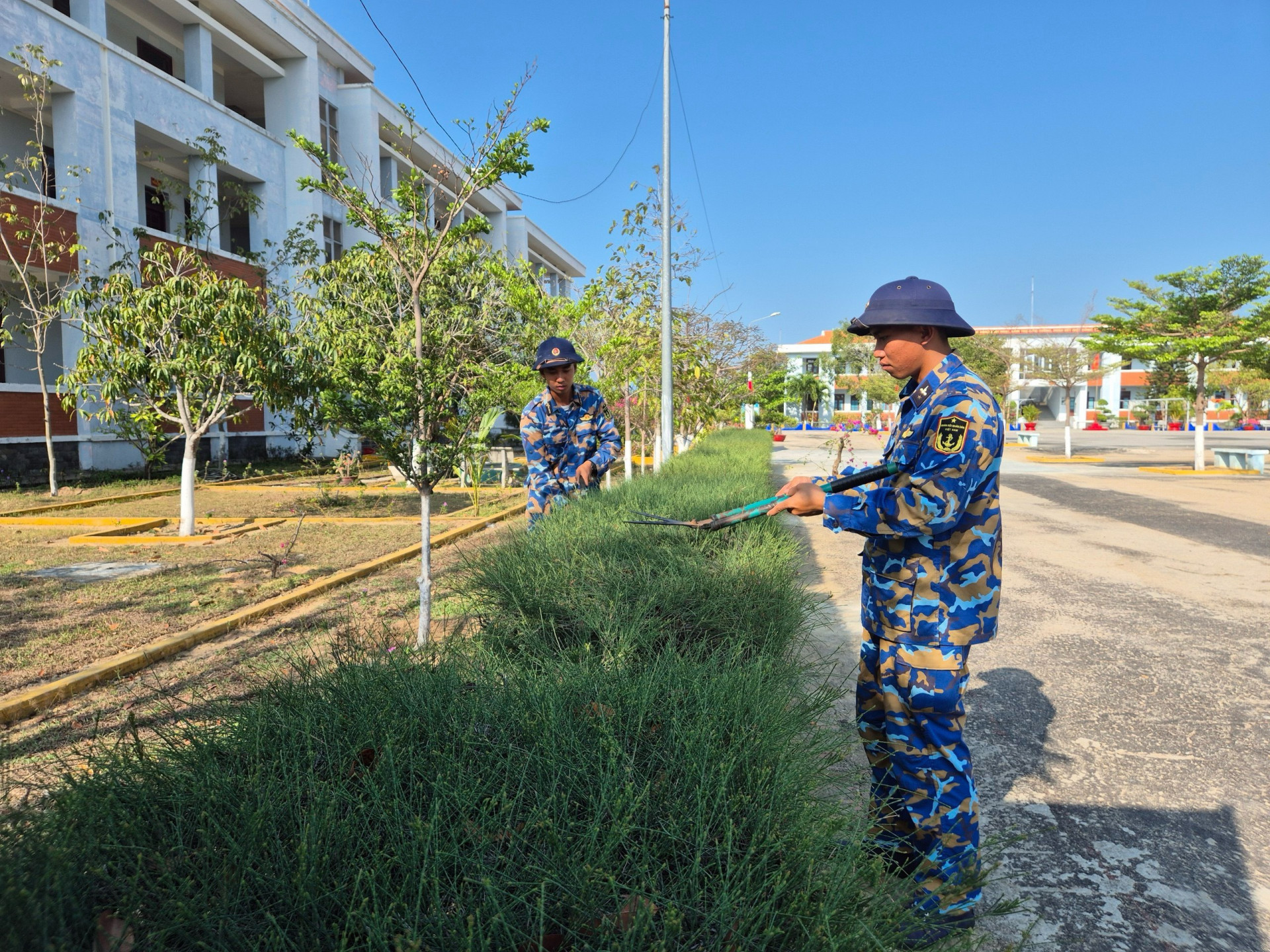 Các chiến sĩ chăm sóc cây cảnh