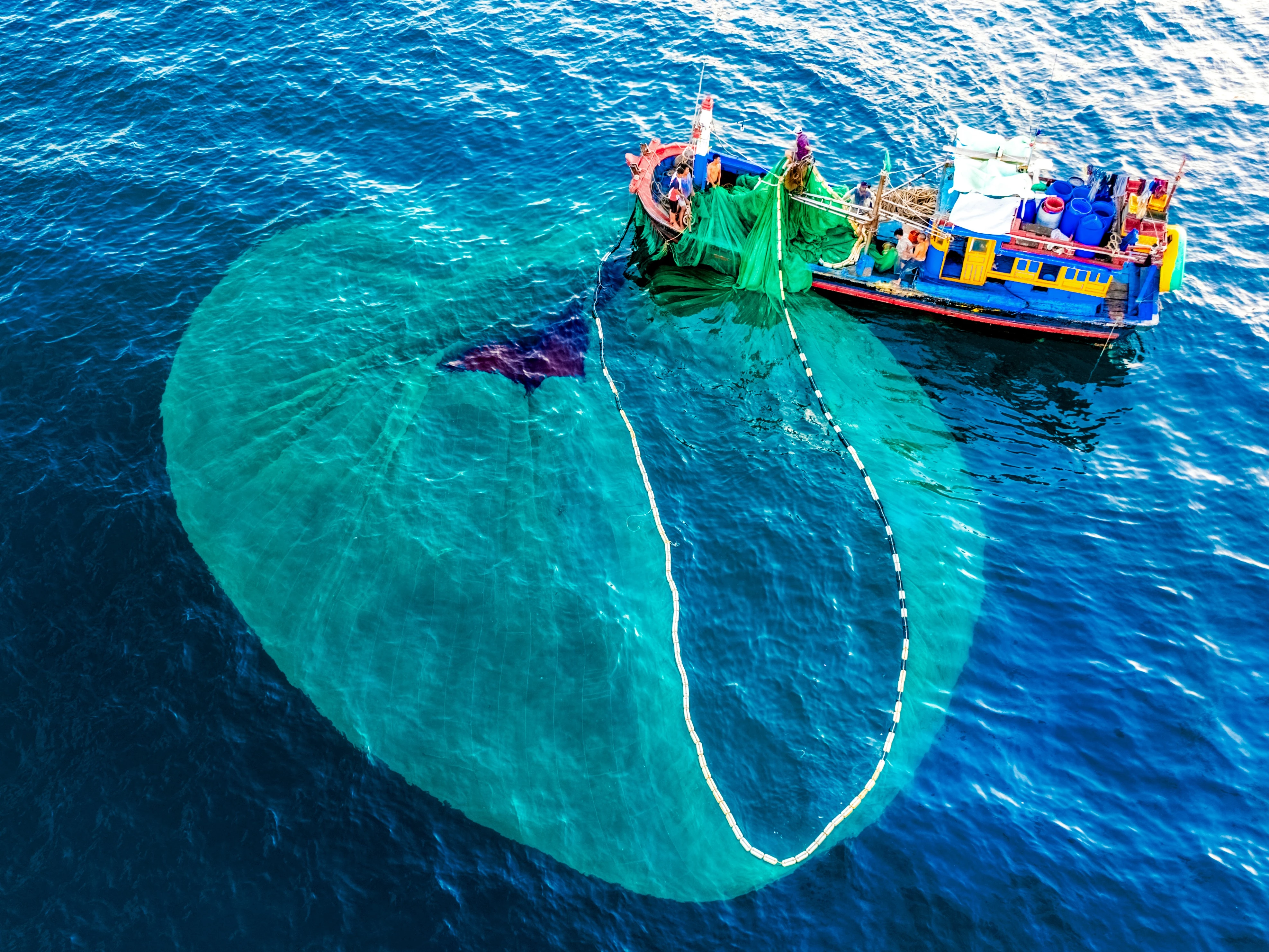 Mưu sinh trên vịnh Nha Trang