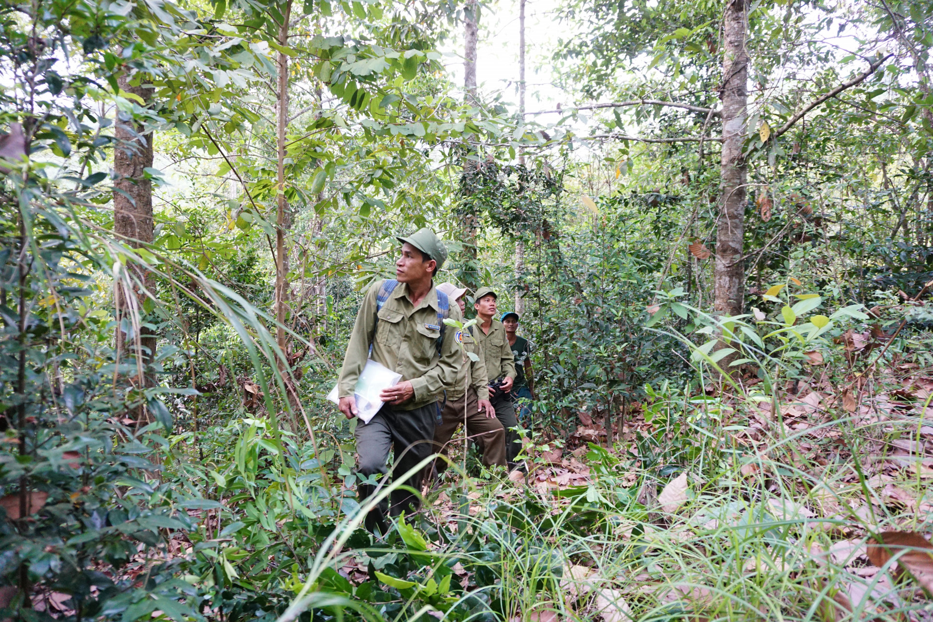 Lực lượng của Trạm Quản lý bảo vệ rừng Sơn Tân tuần tra phòng chống cháy rừng tại khu vực Va Ly