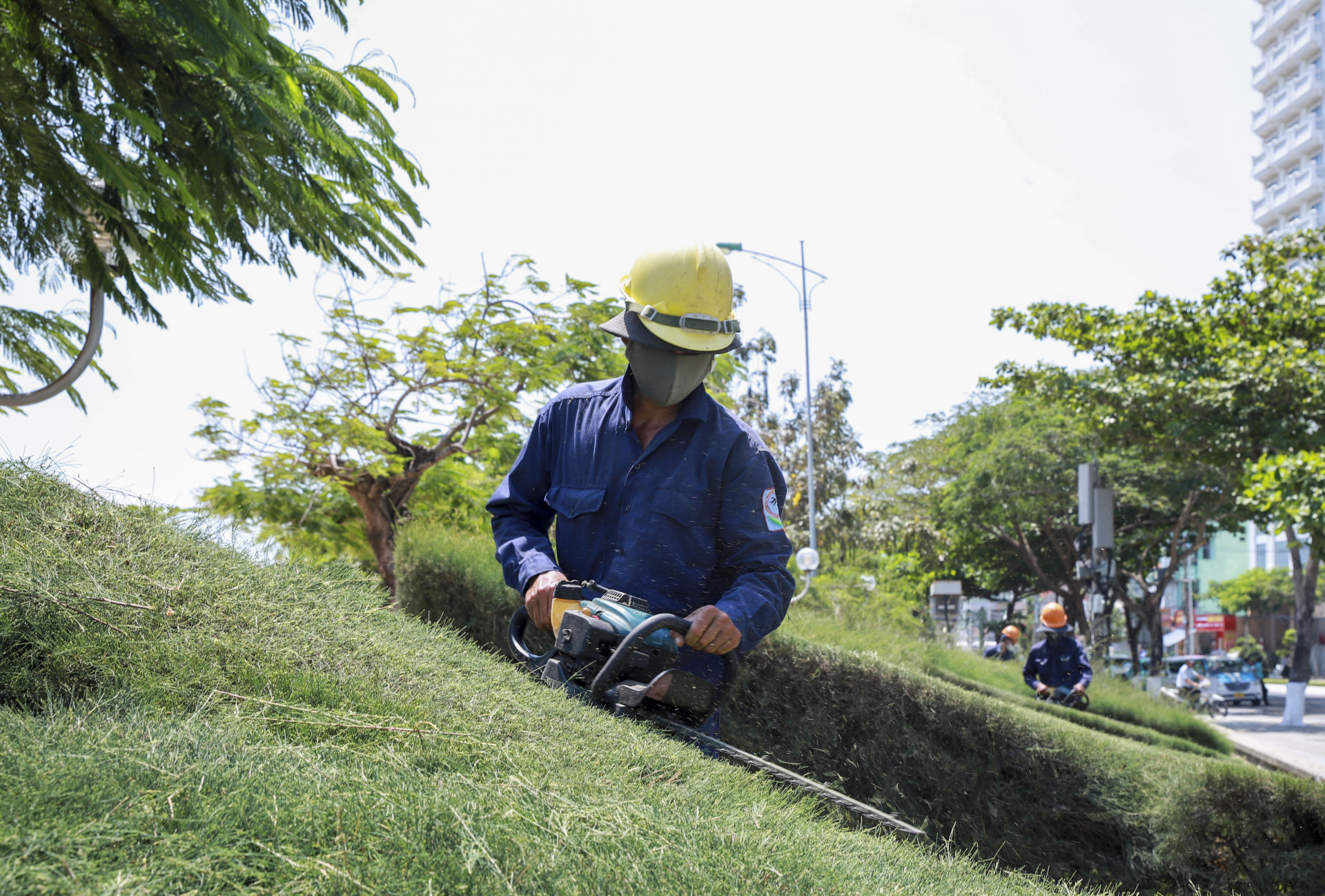 Công nhân 
cắt tỉa 
cây xanh,
 làm đẹp 
cho thành phố.
