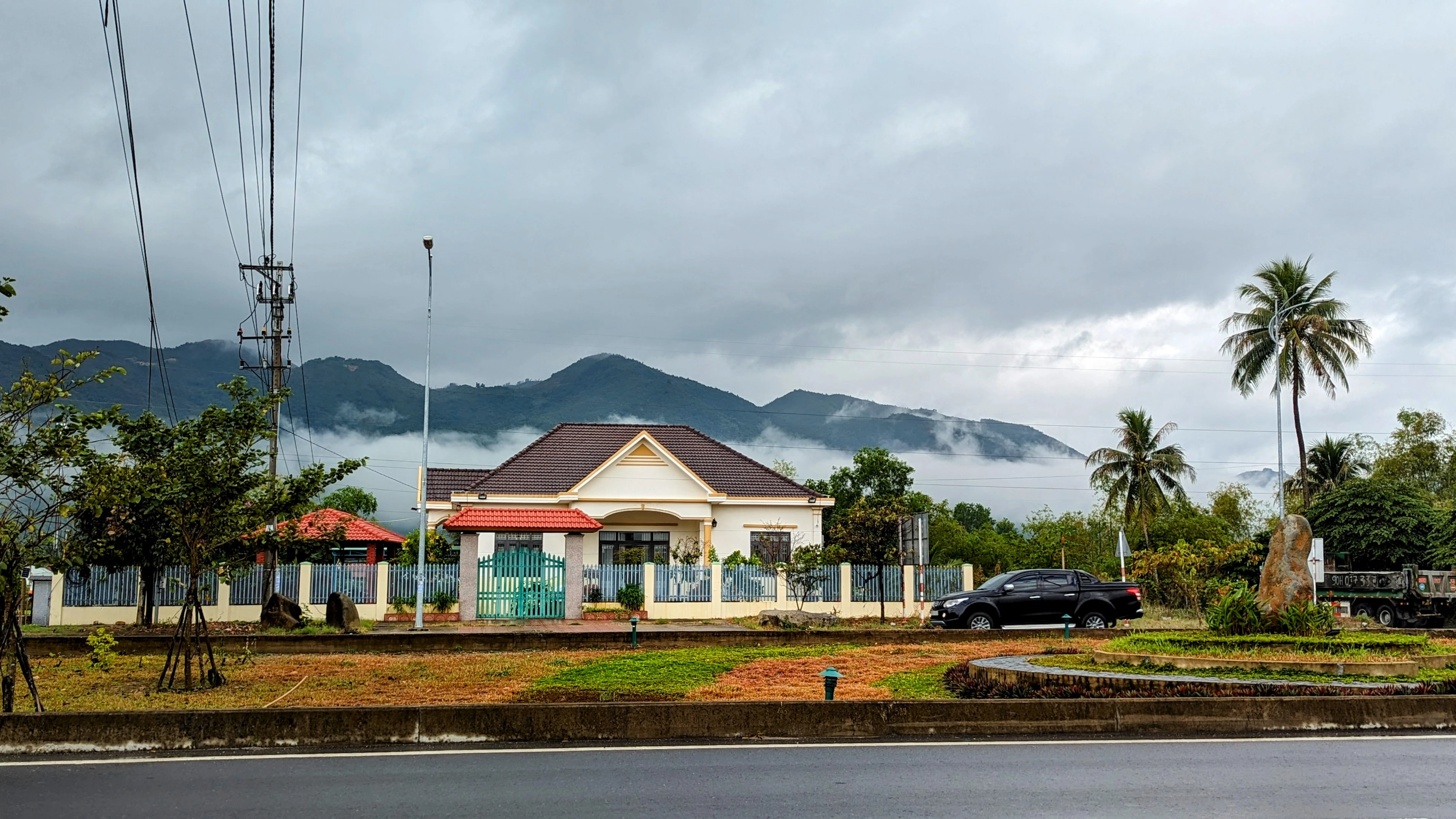 Cây dừa trồng ở góc vườn xưa