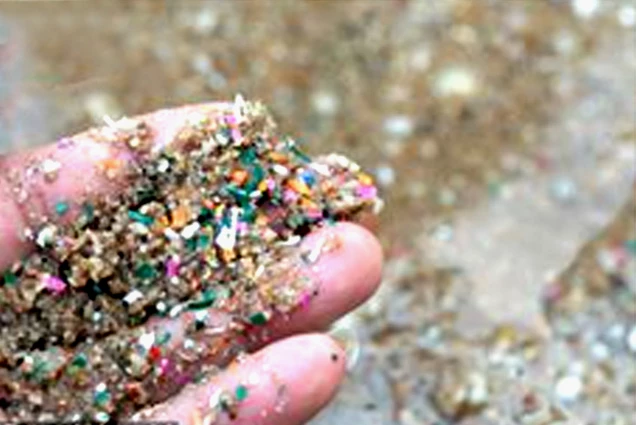 Các nhà khoa học chế tạo nhựa an toàn từ thực vật