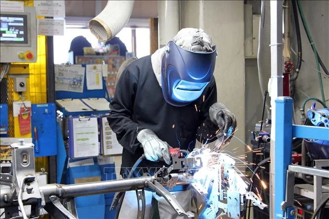 Chính phủ Nhật Bản nhất trí về dự luật cải cách chương trình thực tập sinh nước ngoài