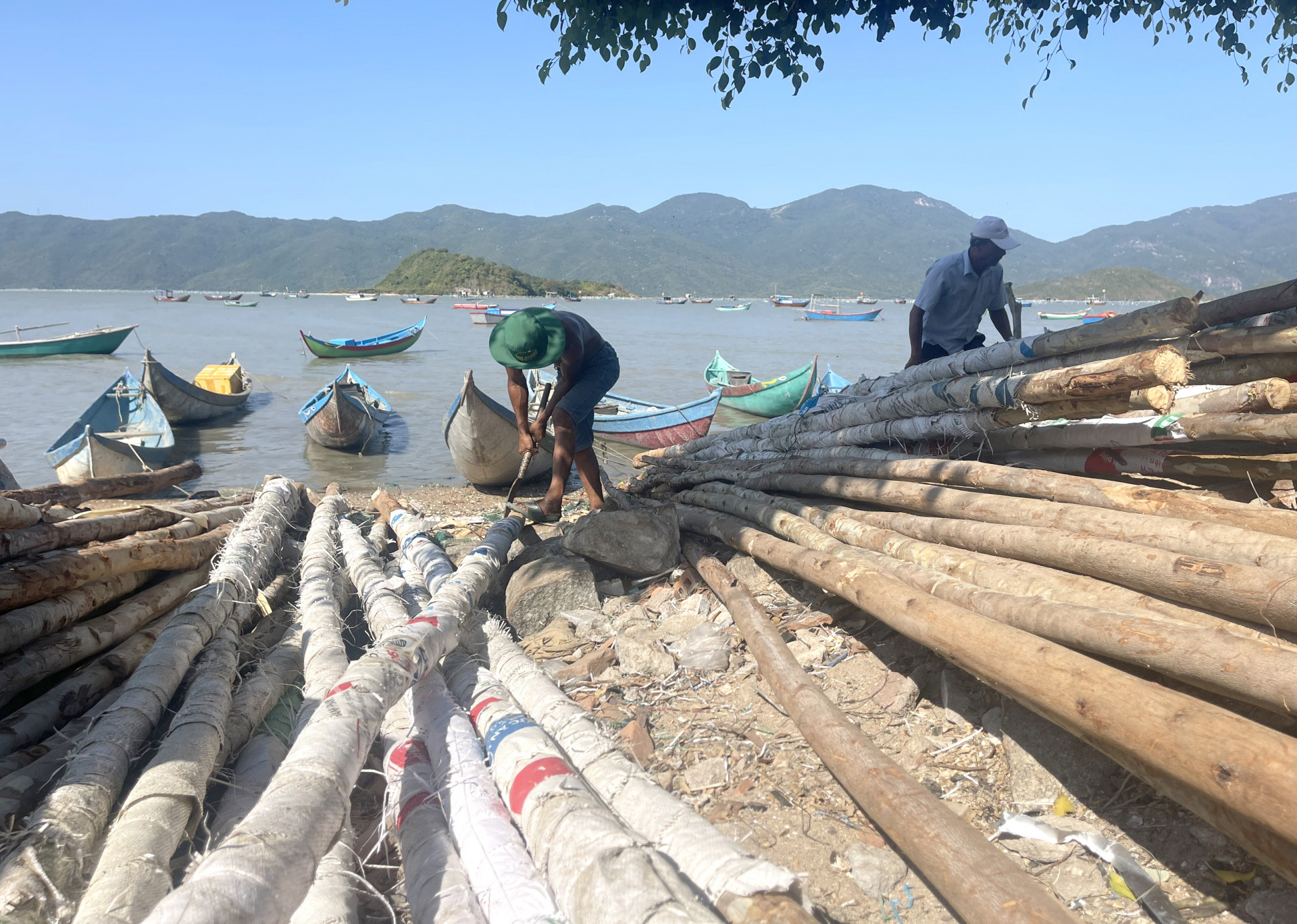 Người dân thôn Ngọc Diêm (xã Ninh Ích) chuẩn bị cọc để mang ra đầm Nha Phu cắm, giăng dây nuôi vẹm.