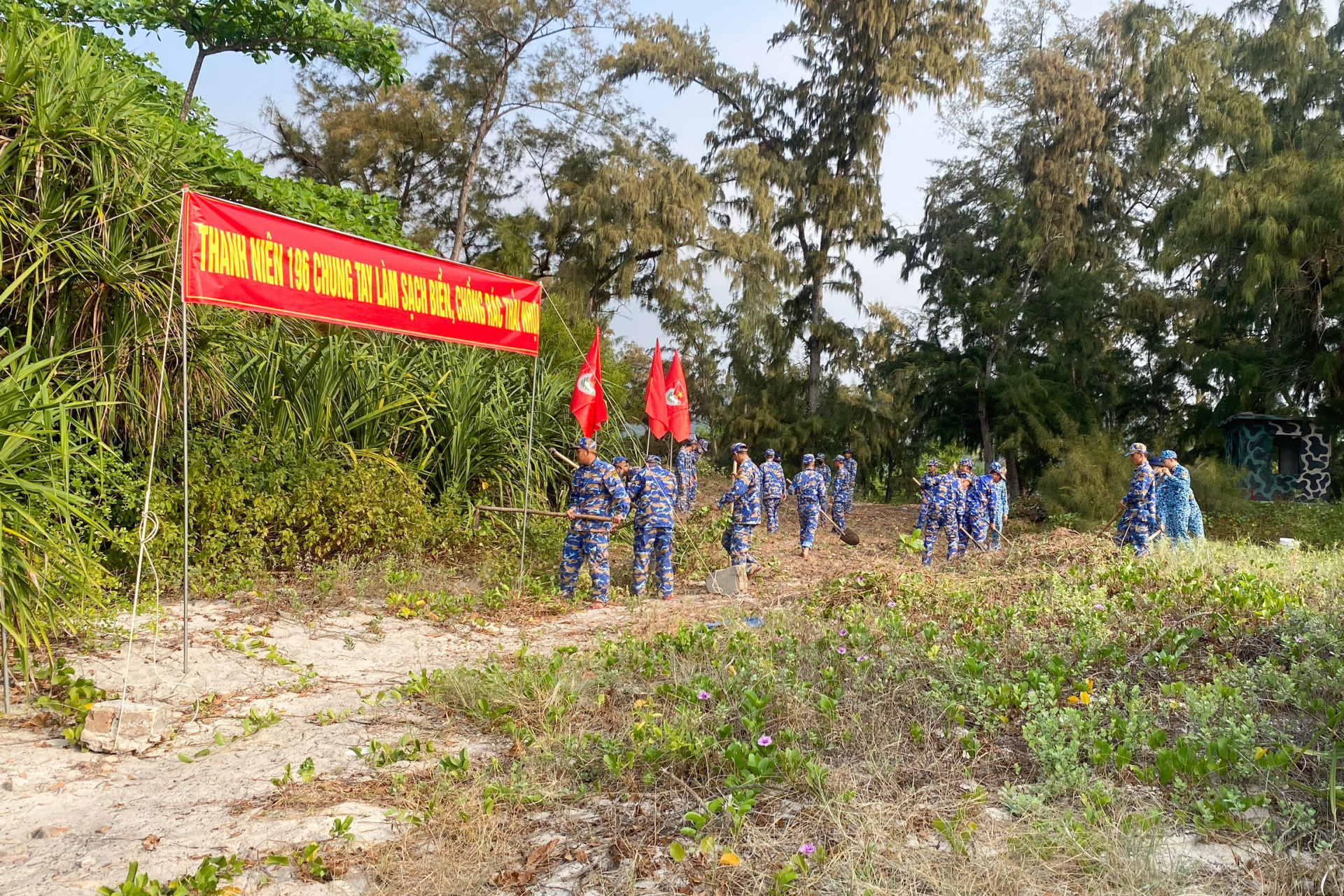 Phát quang bụi rậm, vệ sinh bờ biển.