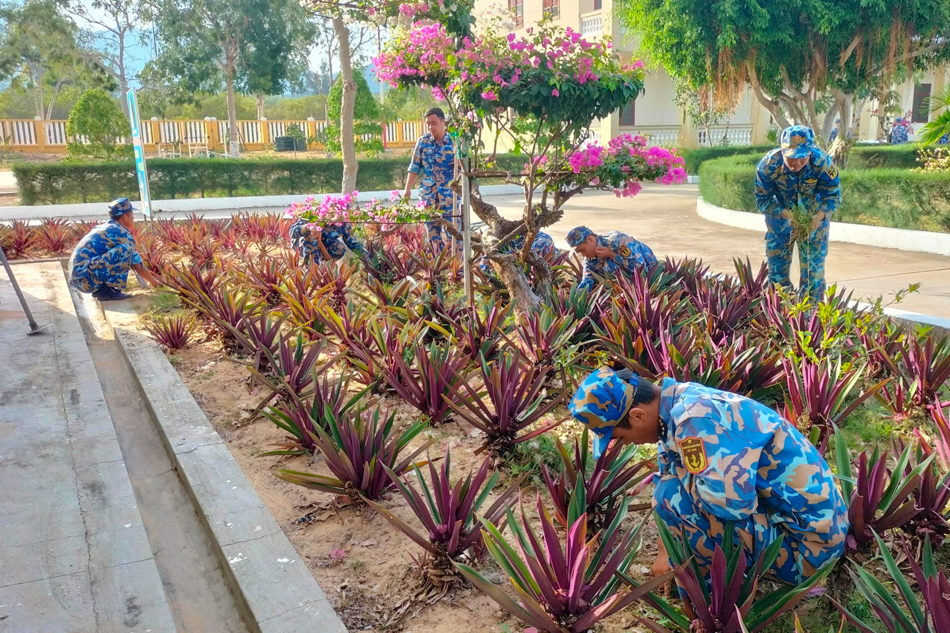 Đoàn viên, thanh niên tham gia cải tạo bồn hoa, cây cảnh.