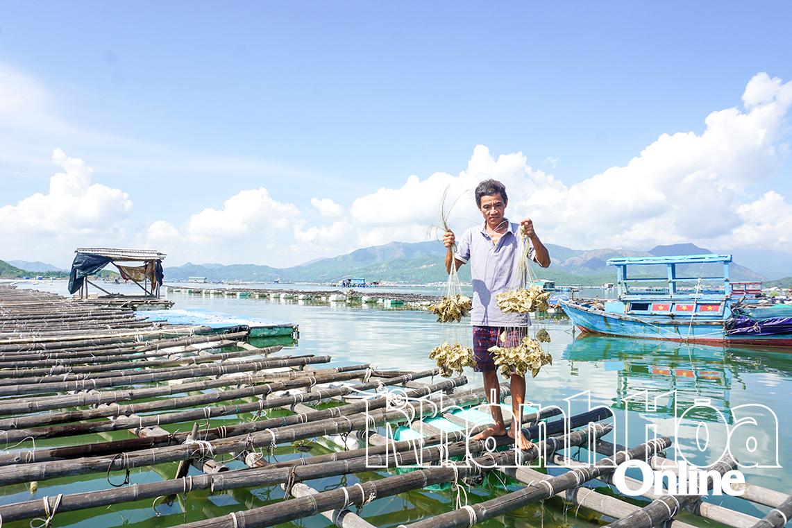 Ninh Hòa: Tăng cường quản lý nuôi trồng thủy sản 