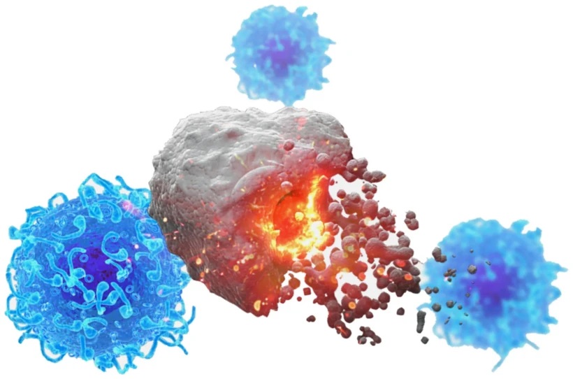 Nghiên cứu thành công vắc xin "đa năng" chống nhiều loại ung thư