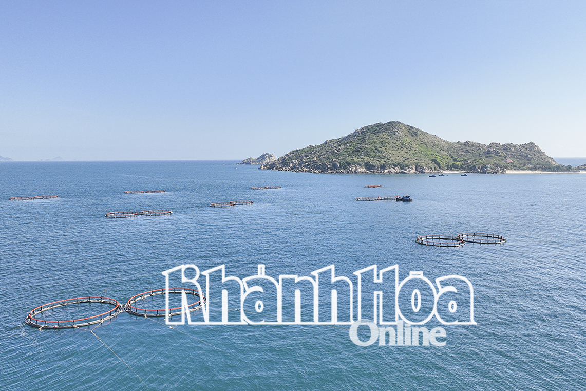 Một góc khu vực nuôi biển công nghệ cao 
đang được triển khai tại khu vực Hòn Nội.
