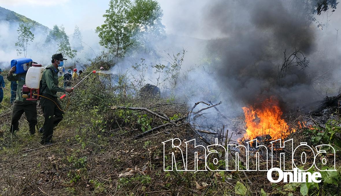 Chủ động triển khai công tác phòng cháy, chữa cháy rừng