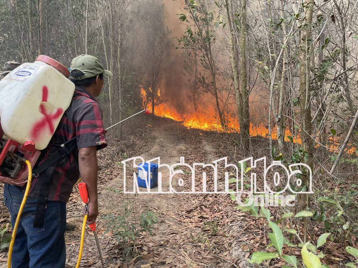 Toàn tỉnh có gần 51.112ha rừng có nguy cơ cháy cao