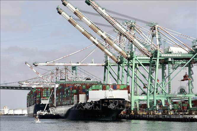 'Tác dụng phụ' của liệu pháp thuế