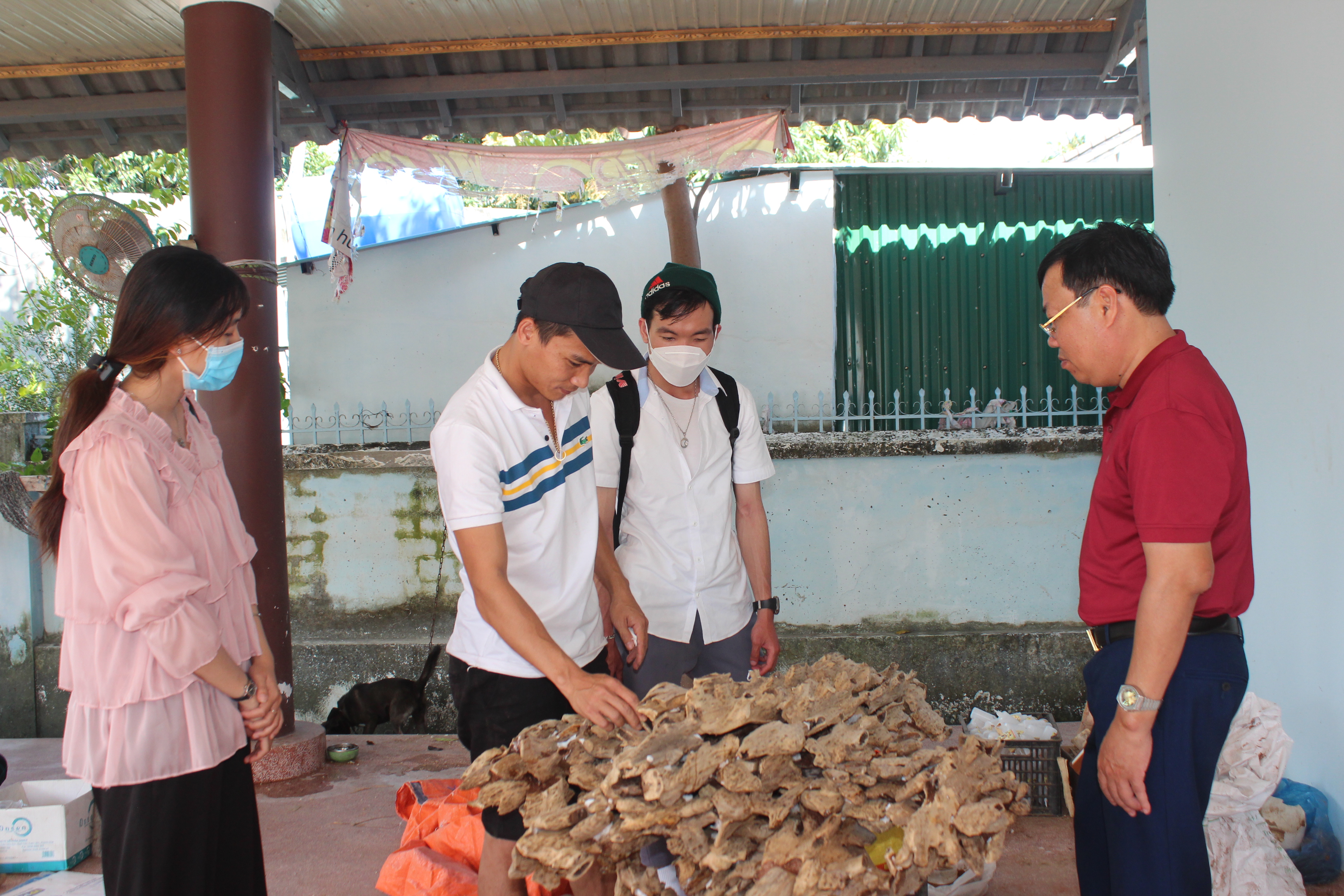 Vạn Ninh: Triển khai chương trình hành động ngành du lịch năm 2025