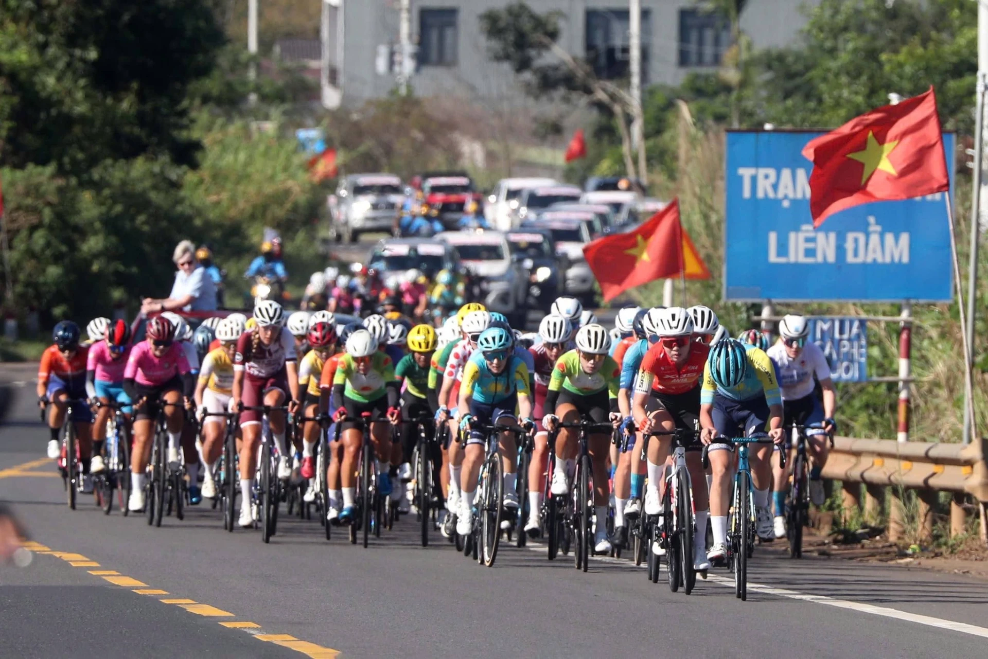 Các vận động viên tranh tài tại giải năm nay. (Nguồn: Liên đoàn Xe đạp-mô tổ thể thao Việt Nam).